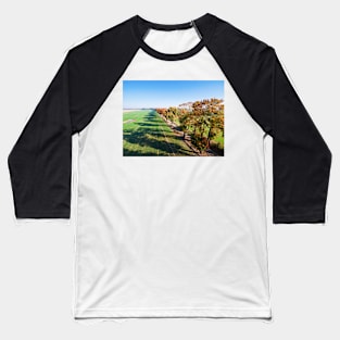 Alley of autumn trees among green fields in countryside Baseball T-Shirt